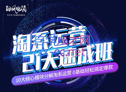 淘系运营21天速成班(更新24年5月)-小毅网创