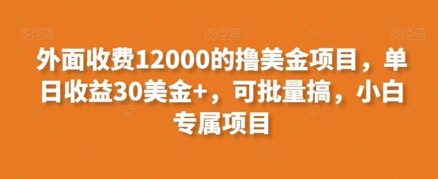 外面收费12000的撸美金项目，单日收益30美金+，可批量搞，小白专属项目 - 小毅网创-小毅网创