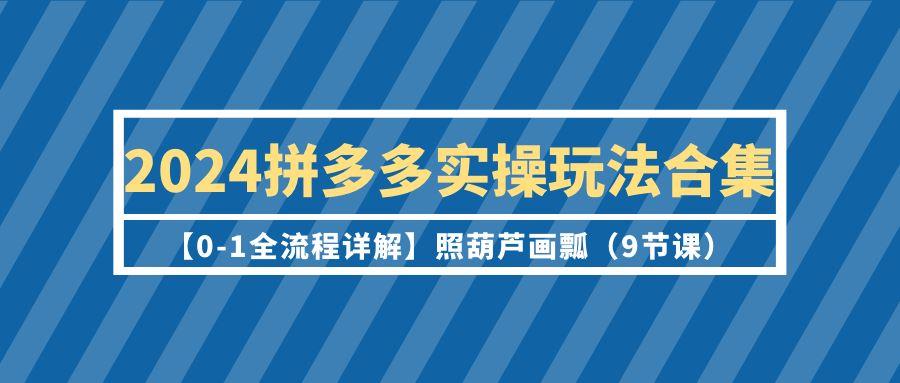 (9559期)2024拼多多实操玩法合集【0-1全流程详解】照葫芦画瓢(9节课) - 小毅网创-小毅网创