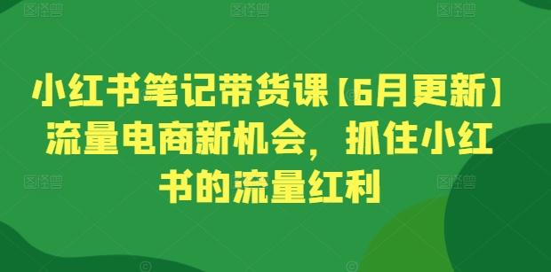 小红书笔记带货课【6月更新】流量电商新机会，抓住小红书的流量红利-小毅网创