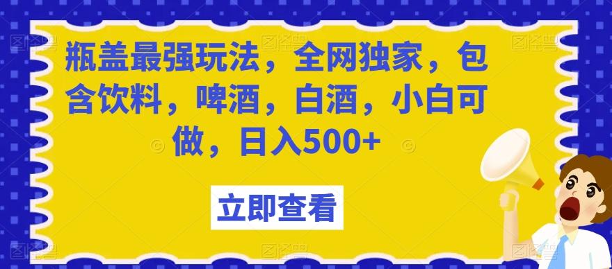 瓶盖最强玩法，全网独家，包含饮料，啤酒，白酒，小白可做，日入500+【揭秘】 - 小毅网创-小毅网创