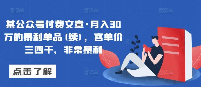某公众号付费文章·月入30万的暴利单品(续)，客单价三四千，非常暴利 - 小毅网创-小毅网创