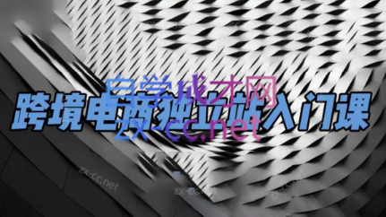 团长·跨境电商独立站入门课(2小时精华) - 小毅网创-小毅网创