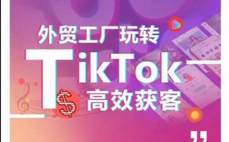 外贸工厂玩转TikTok高效获客，多种引流方式与账号定位技巧，拆解爆款短视频打造成功案例 - 小毅网创-小毅网创