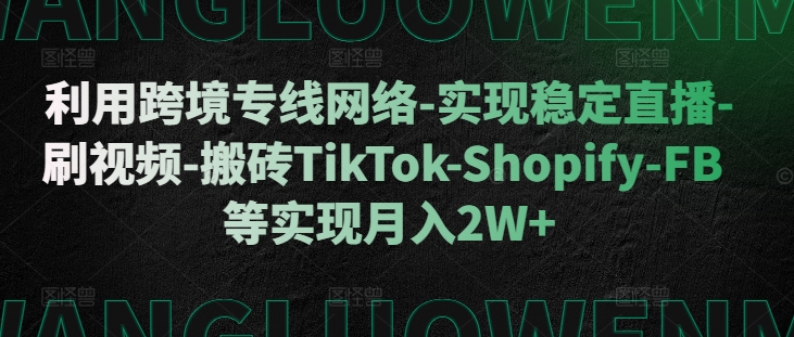 利用跨境专线网络-实现稳定直播-刷视频-搬砖TikTok-Shopify-FB等实现月入2W+【揭秘】 - 小毅网创-小毅网创