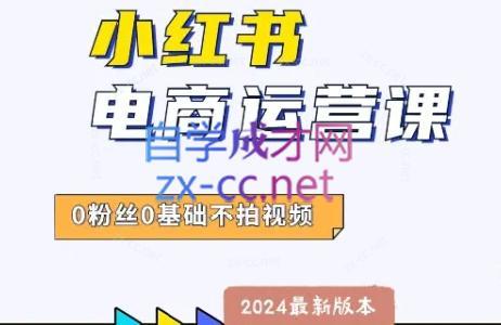 达哥·小红书电商运营(2024版)-小毅网创