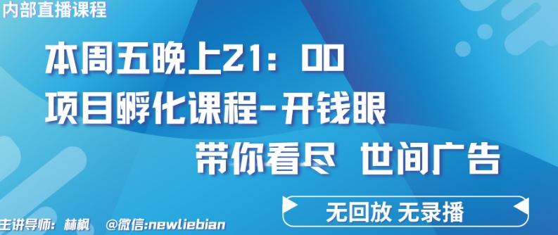 4.26日内部回放课程《项目孵化-开钱眼》赚钱的底层逻辑【揭秘】 - 小毅网创-小毅网创