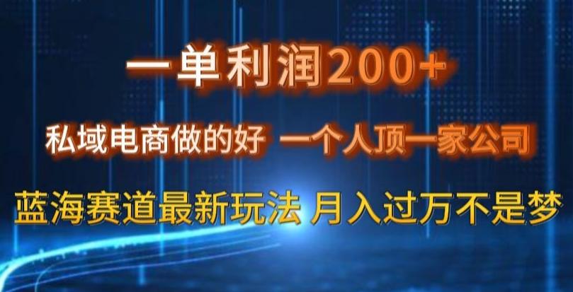 一单利润200私域电商做的好，一个人顶一家公司蓝海赛道最新玩法【揭秘】 - 小毅网创-小毅网创