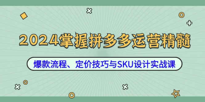 2024掌握拼多多运营精髓：爆款流程、定价技巧与SKU设计实战课-小毅网创