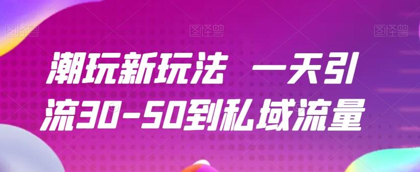 潮玩新玩法一天引流30-50到私域流量-小毅网创