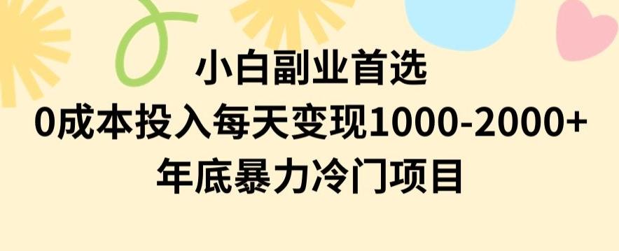 小白副业首选，0成本投入，每天变现1000-2000年底暴力冷门项目【揭秘】 - 小毅网创-小毅网创