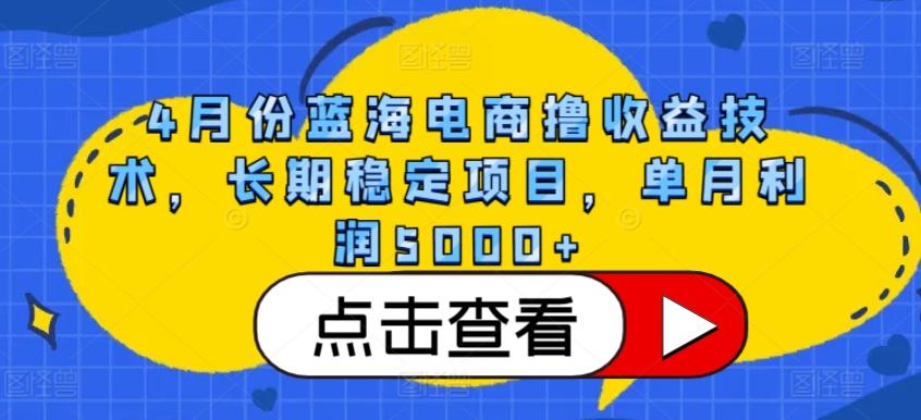 4月份蓝海电商撸收益技术，长期稳定项目，单月利润5000+【揭秘】 - 小毅网创-小毅网创