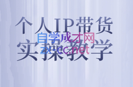 萌神姐姐·个人IP真人出镜短视频实操课-小毅网创