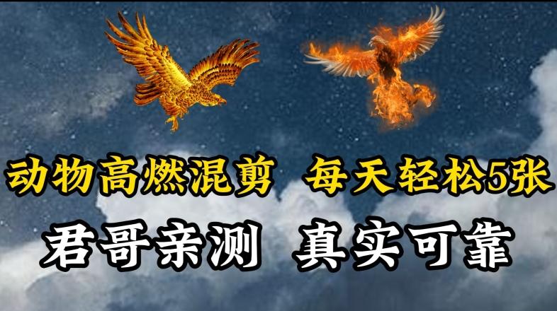动物超燃混剪，每天轻松5张，剪辑简单大家爱看【揭秘】 - 小毅网创-小毅网创
