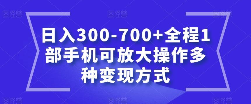 日入300-700+全程1部手机可放大操作多种变现方式【揭秘】 - 小毅网创-小毅网创