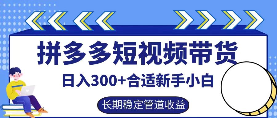 拼多多短视频带货日入300+，实操账户展示看就能学会 - 小毅网创-小毅网创