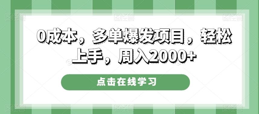 0成本，多单爆发项目，轻松上手，周入2000+ - 小毅网创-小毅网创