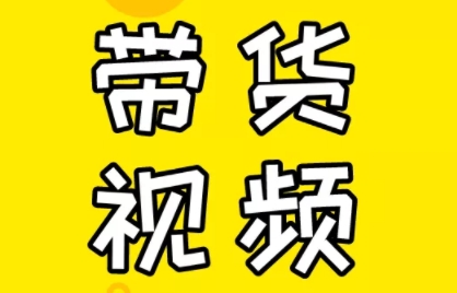 芒果老师·教你做抖音短视频和直播带货-小毅网创