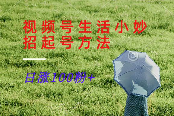 视频号生活小妙招分享赛道， 起号涨粉新方法，日涨100粉 - 小毅网创-小毅网创
