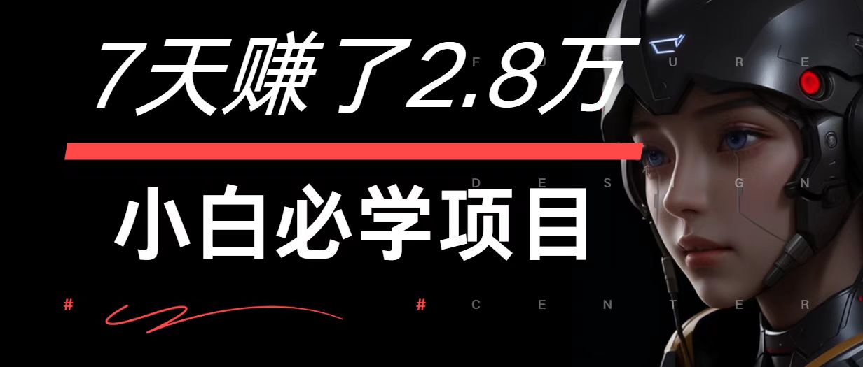 7天赚了2.8万！每单利润最少500+，轻松月入7万+小白有手就行 - 小毅网创-小毅网创