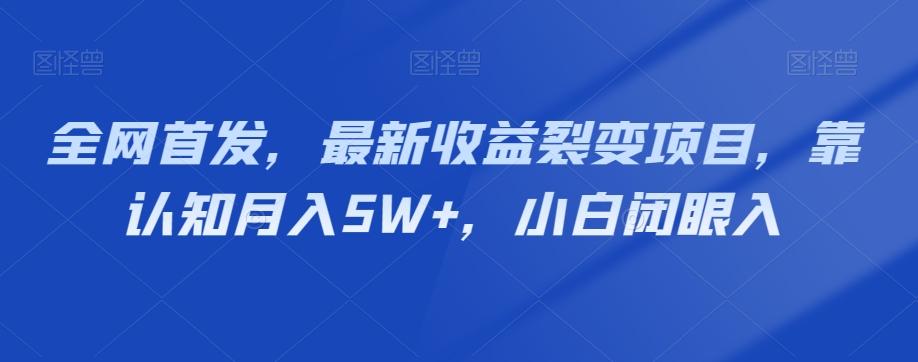 全网首发，最新收益裂变项目，靠认知月入5W+，小白闭眼入-小毅网创