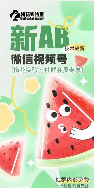 梅花实验室2024年AB技术视频号AB合成破解版 - 小毅网创-小毅网创