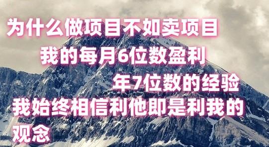 做项目不如卖项目，每月6位数盈利，年7位数经验 - 小毅网创-小毅网创