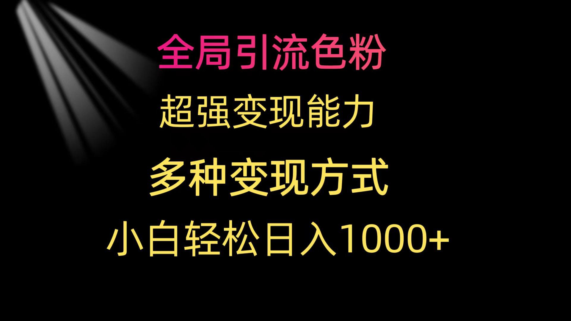 (9680期)全局引流色粉 超强变现能力 多种变现方式 小白轻松日入1000+ - 小毅网创-小毅网创