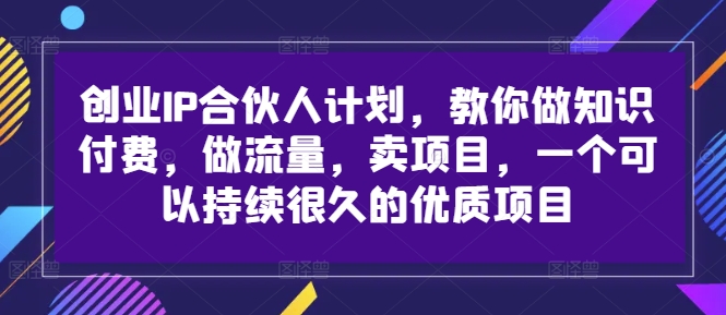 创业IP合伙人计划，教你做知识付费，做流量，卖项目，一个可以持续很久的优质项目-小毅网创