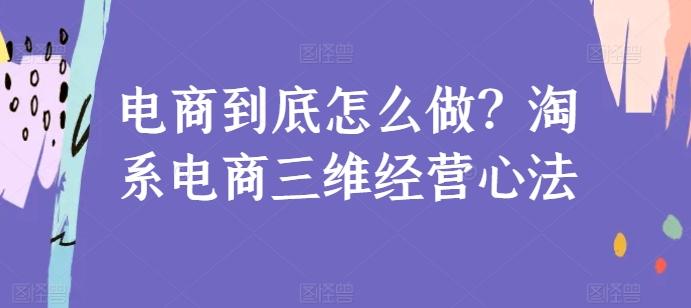 电商到底怎么做？淘系电商三维经营心法-小毅网创