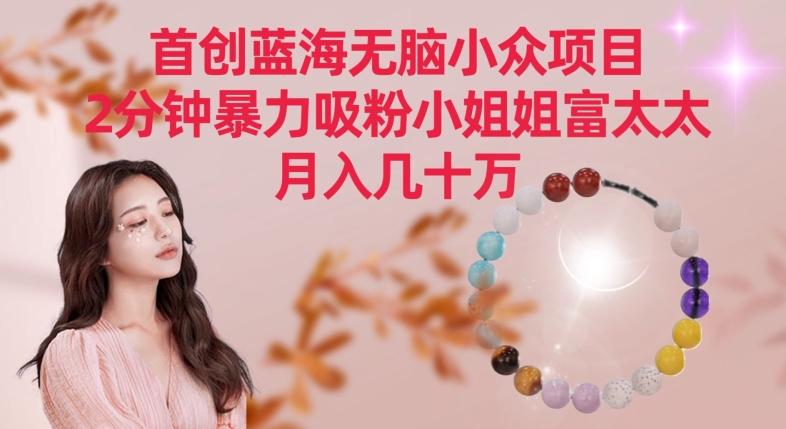 首创蓝海无脑小众项目，2分钟暴力吸粉小姐姐富太太，月入几十万【揭秘】 - 小毅网创-小毅网创