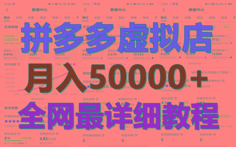 拼多多虚拟电商训练营月入50000+你也行，暴利稳定长久，副业首选 - 小毅网创-小毅网创