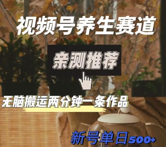 视频号养生赛道暴力掘金，无脑搬运，两分钟一条作品-新日单入500+ - 小毅网创-小毅网创