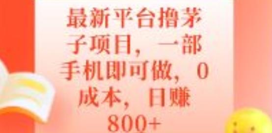 最新平台撸茅子项目，一部手机即可做，0成本，日赚800+ - 小毅网创-小毅网创