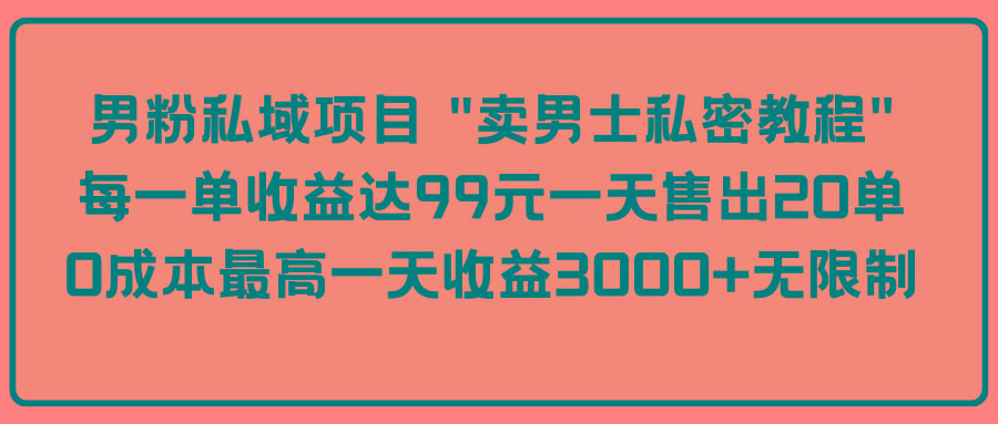 (9730期)男粉私域项目 "卖男士私密教程" 每一单收益达99元一天售出20单 - 小毅网创-小毅网创