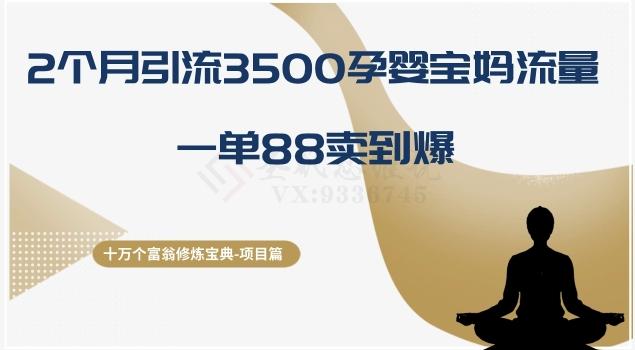 十万个富翁修炼宝典之13.2个月引流3500孕婴宝妈流量，一单88卖到爆 - 小毅网创-小毅网创