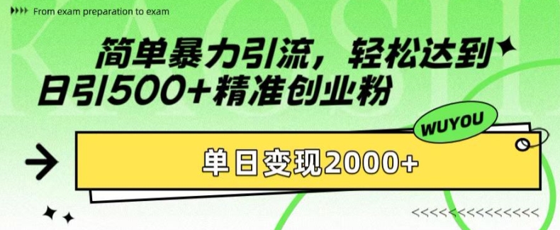 简单暴力引流，轻松达到日引500+精准创业粉，单日变现2k【揭秘】-小毅网创