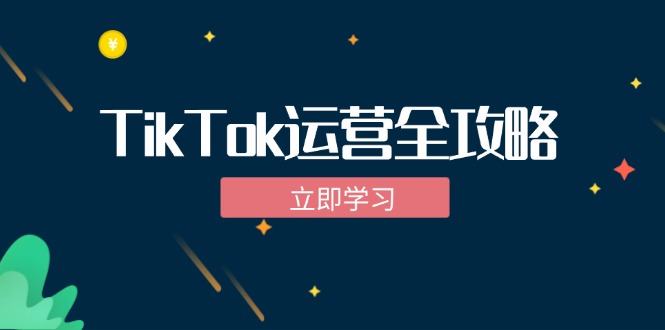TikTok实战运营全攻略：从下载软件到变现，抖音海外版实操教程 - 小毅网创-小毅网创