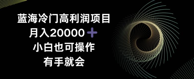 蓝海冷门高利润项目月入2000，小白也可操作有手就会 - 小毅网创-小毅网创