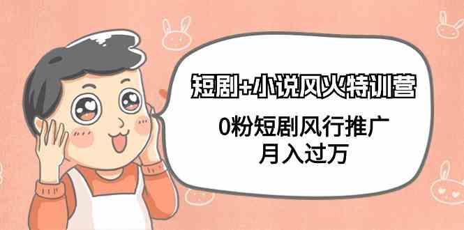 小说+短剧风火特训营，0粉短剧小说风行推广，实现月入过万 - 小毅网创-小毅网创