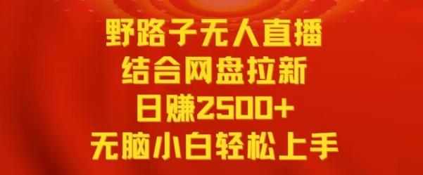 野路子无人直播结合网盘拉新，日赚2500+，小白无脑轻松上手【揭秘】-小毅网创